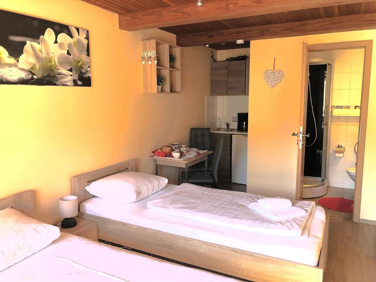 Maximilianhaus Appartement Zell Buitenkant foto